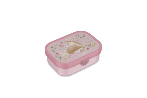 Lunch box con divisori