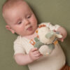 Ringrattle chicken Little Farm