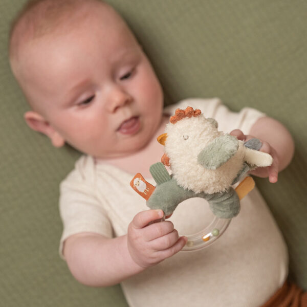 Ringrattle chicken Little Farm