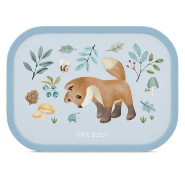 Lunch box con divisori