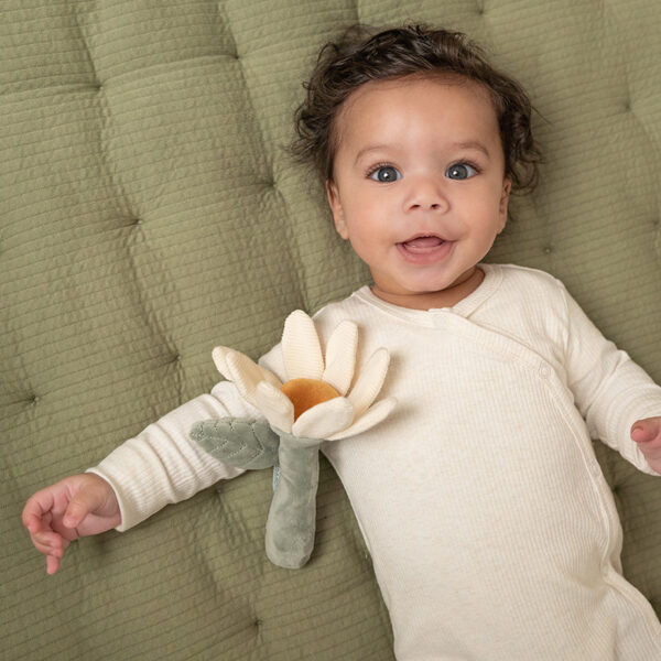 Rattle Flower Little Farm